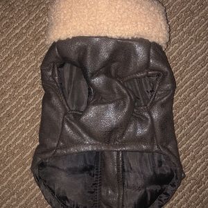 Puppy / Small Dog Coat